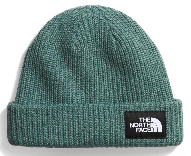 Salty Lined Beanie Dark Sage