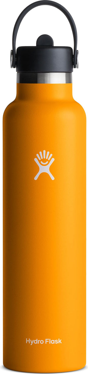 Hydro Flask Accessories 21oz Standard Flex Straw Starfish