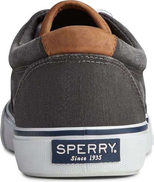 Sperry Shoes Striper Ii Cvo Black